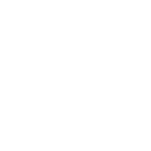Logo Branco